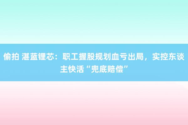 偷拍 湛蓝锂芯：职工握股规划血亏出局，实控东谈主快活“兜底赔偿”