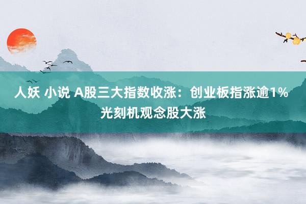 人妖 小说 A股三大指数收涨：创业板指涨逾1% 光刻机观念股大涨