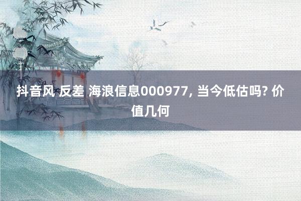 抖音风 反差 海浪信息000977, 当今低估吗? 价值几何