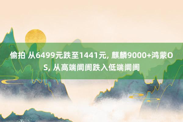 偷拍 从6499元跌至1441元, 麒麟9000+鸿蒙OS, 从高端阛阓跌入低端阛阓