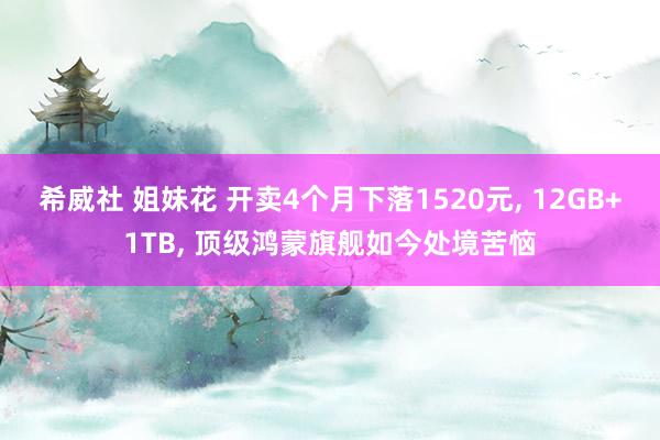 希威社 姐妹花 开卖4个月下落1520元, 12GB+1TB, 顶级鸿蒙旗舰如今处境苦恼