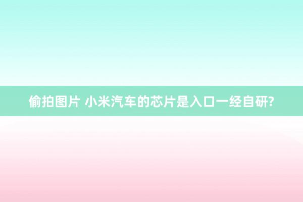 偷拍图片 小米汽车的芯片是入口一经自研?