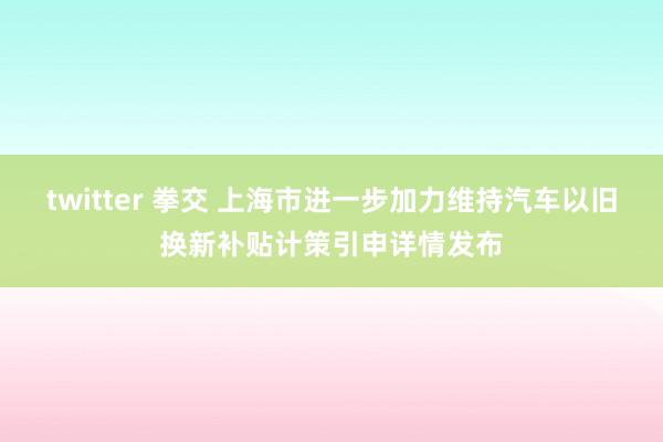 twitter 拳交 上海市进一步加力维持汽车以旧换新补贴计策引申详情发布