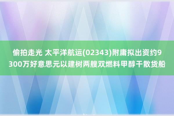 偷拍走光 太平洋航运(02343)附庸拟出资约9300万好意思元以建树两艘双燃料甲醇干散货船