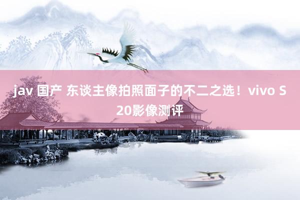 jav 国产 东谈主像拍照面子的不二之选！vivo S20影像测评
