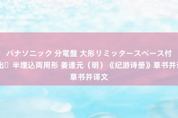 パナソニック 分電盤 大形リミッタースペース付 露出・半埋込両用形 姜逢元（明）《纪游诗册》草书并译文