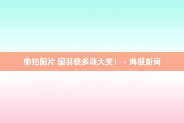 偷拍图片 国羽获多项大奖！ - 海报新闻