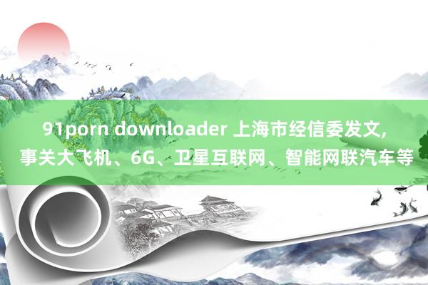91porn downloader 上海市经信委发文, 事关大飞机、6G、卫星互联网、智能网联汽车等