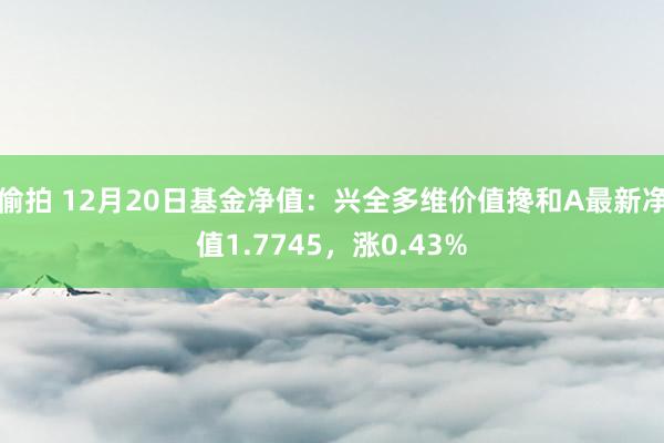 偷拍 12月20日基金净值：兴全多维价值搀和A最新净值1.7745，涨0.43%