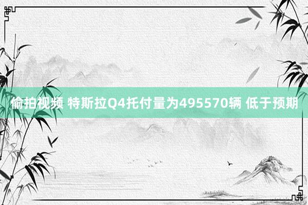 偷拍视频 特斯拉Q4托付量为495570辆 低于预期
