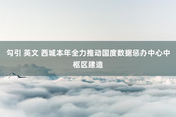 勾引 英文 西城本年全力推动国度数据惩办中心中枢区建造