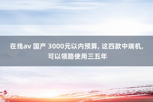 在线av 国产 3000元以内预算, 这四款中端机, 可以领路使用三五年