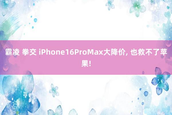 霸凌 拳交 iPhone16ProMax大降价, 也救不了苹果!
