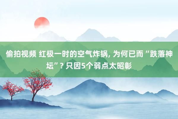 偷拍视频 红极一时的空气炸锅, 为何已而“跌落神坛”? 只因5个弱点太昭彰