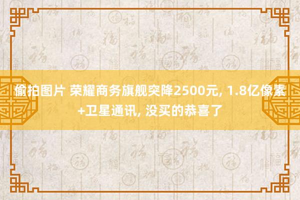 偷拍图片 荣耀商务旗舰突降2500元, 1.8亿像素+卫星通讯, 没买的恭喜了