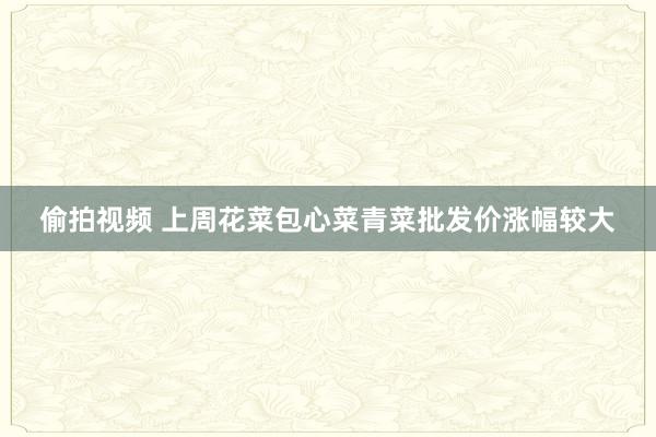 偷拍视频 上周花菜包心菜青菜批发价涨幅较大