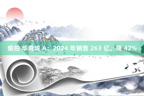 偷拍 华裔城 A：2024 年销售 263 亿，降 42%