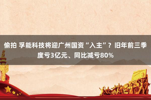 偷拍 孚能科技将迎广州国资“入主”？旧年前三季度亏3亿元、同比减亏80%