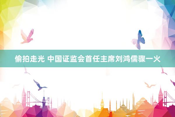 偷拍走光 中国证监会首任主席刘鸿儒骤一火