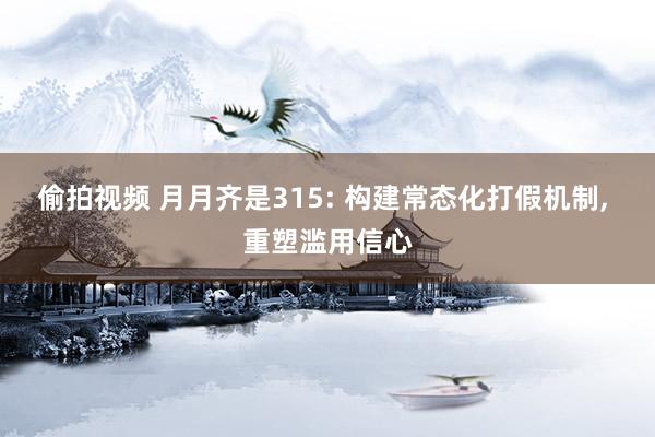 偷拍视频 月月齐是315: 构建常态化打假机制， 重塑滥用信心