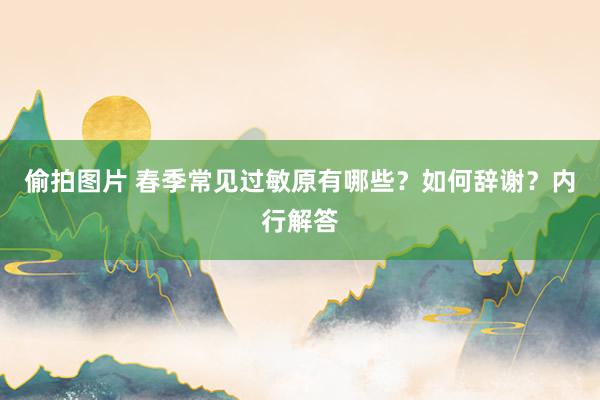 偷拍图片 春季常见过敏原有哪些？如何辞谢？内行解答