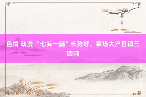 色情 动漫 “七头一脑”长势好，菜场大户日销三四吨