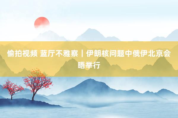 偷拍视频 蓝厅不雅察｜伊朗核问题中俄伊北京会晤举行