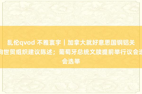 乱伦qvod 不雅寰宇｜加拿大就好意思国钢铝关税向世贸组织建议陈述；葡萄牙总统文牍提前举行议会选举