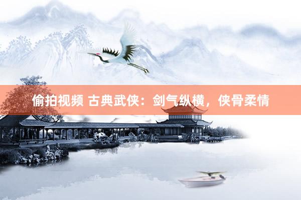 偷拍视频 古典武侠：剑气纵横，侠骨柔情