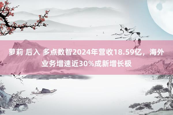 萝莉 后入 多点数智2024年营收18.59亿，海外业务增速近30%成新增长极