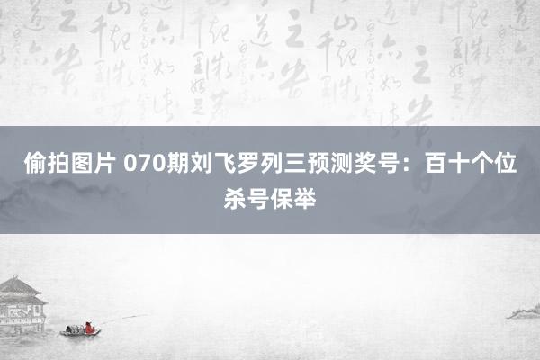 偷拍图片 070期刘飞罗列三预测奖号：百十个位杀号保举