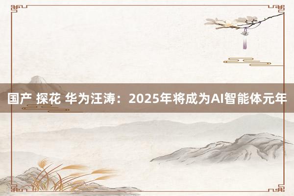 国产 探花 华为汪涛：2025年将成为AI智能体元年