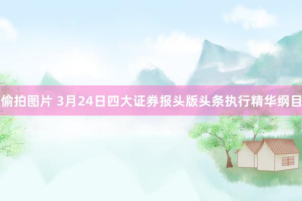 偷拍图片 3月24日四大证券报头版头条执行精华纲目