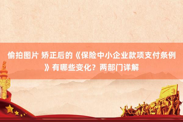 偷拍图片 矫正后的《保险中小企业款项支付条例》有哪些变化？两部门详解