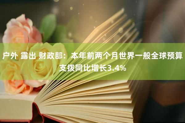 户外 露出 财政部：本年前两个月世界一般全球预算支拨同比增长3.4%