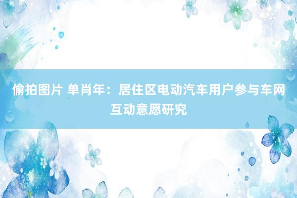 偷拍图片 单肖年：居住区电动汽车用户参与车网互动意愿研究
