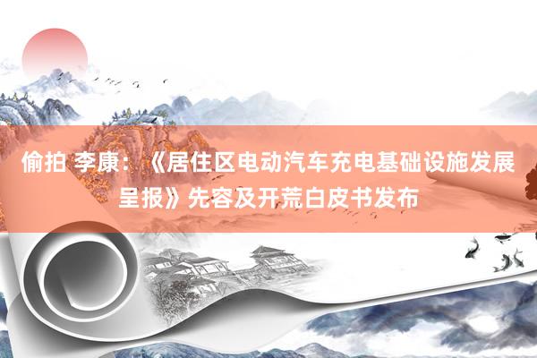 偷拍 李康：《居住区电动汽车充电基础设施发展呈报》先容及开荒白皮书发布