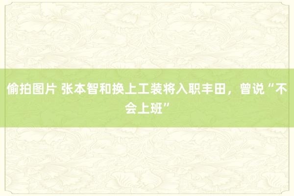 偷拍图片 张本智和换上工装将入职丰田，曾说“不会上班”