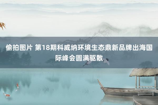 偷拍图片 第18期科威纳环境生态鼎新品牌出海国际峰会圆满驱散