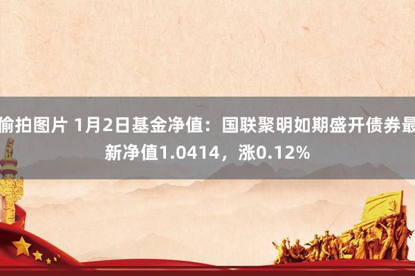 偷拍图片 1月2日基金净值：国联聚明如期盛开债券最新净值1.0414，涨0.12%