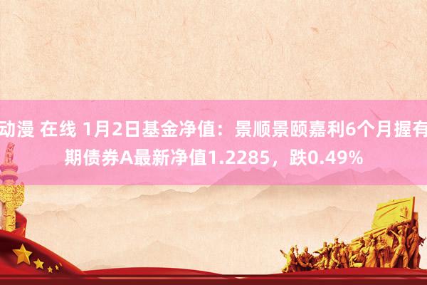 动漫 在线 1月2日基金净值：景顺景颐嘉利6个月握有期债券A最新净值1.2285，跌0.49%