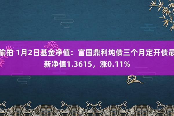 偷拍 1月2日基金净值：富国鼎利纯债三个月定开债最新净值1.3615，涨0.11%