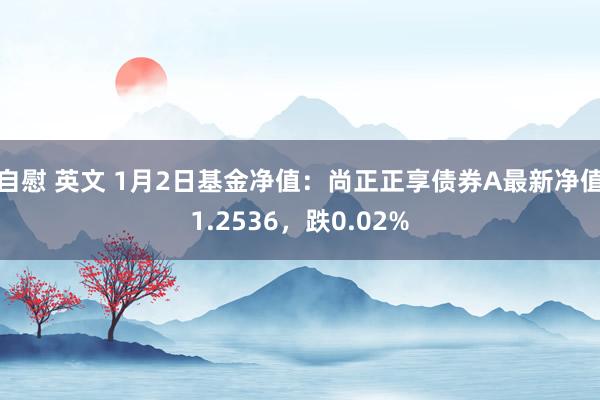 自慰 英文 1月2日基金净值：尚正正享债券A最新净值1.2536，跌0.02%