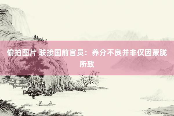 偷拍图片 联接国前官员：养分不良并非仅因蒙胧所致