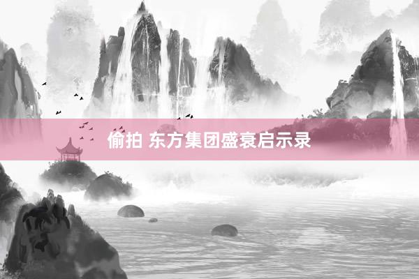 偷拍 东方集团盛衰启示录