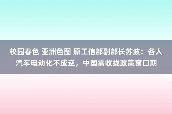 校园春色 亚洲色图 原工信部副部长苏波：各人汽车电动化不成逆，中国需收拢政策窗口期