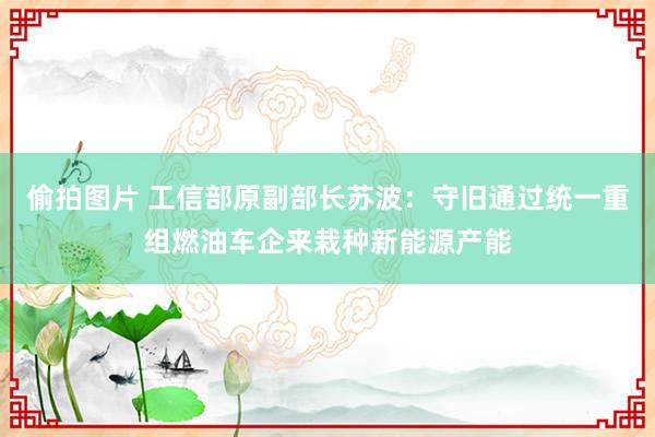 偷拍图片 工信部原副部长苏波：守旧通过统一重组燃油车企来栽种新能源产能