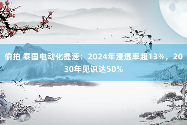 偷拍 泰国电动化提速：2024年浸透率超13%，2030年见识达50%