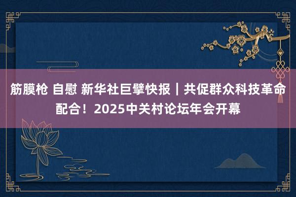 筋膜枪 自慰 新华社巨擘快报｜共促群众科技革命配合！2025中关村论坛年会开幕