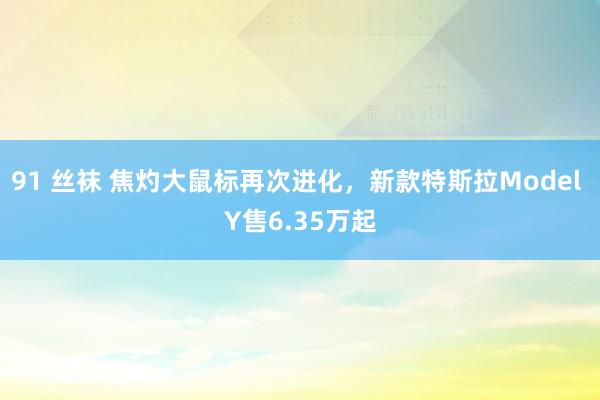 91 丝袜 焦灼大鼠标再次进化，新款特斯拉Model Y售6.35万起